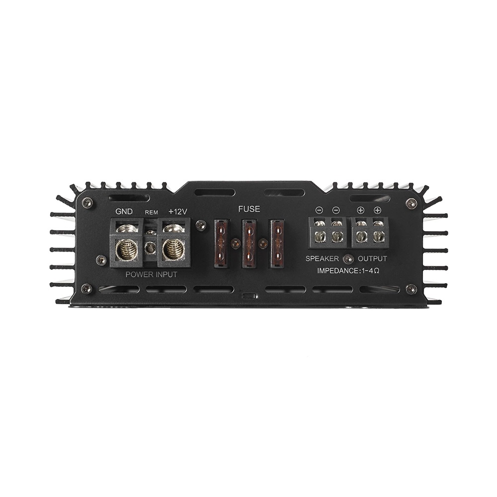 Bass Habit Rebel RA2000W - 4
