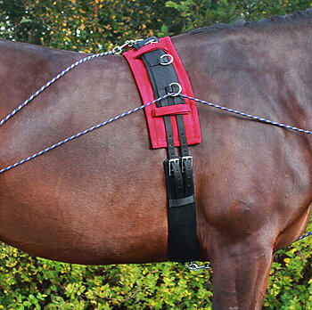 Lunging Pad QHP, pink