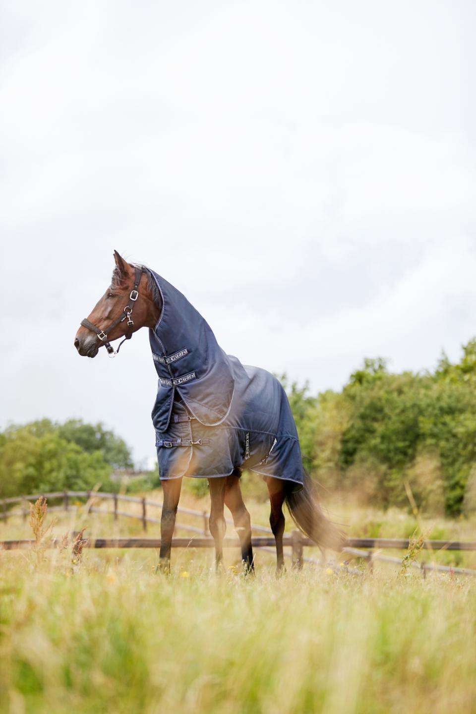 Horse Guard Millan 100g inkl avtagbar hals 1200d 105-165 cm - 3