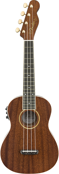 Fender Grace VanderWaal Moonlight Sign. Uke med inbyggt mik system och gigbag