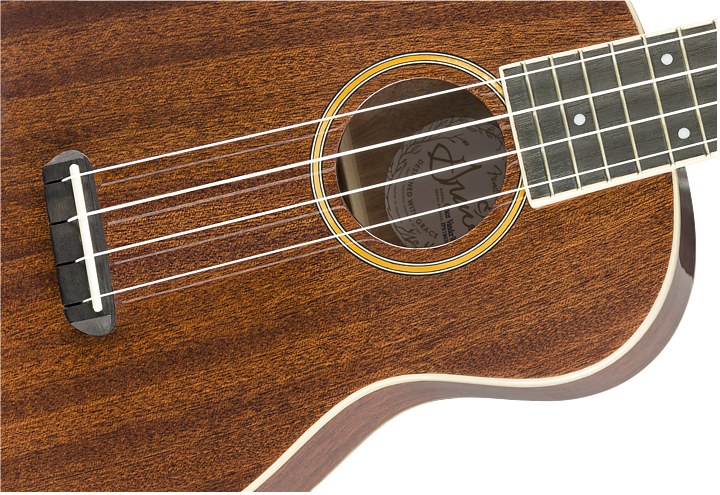 Fender Grace VanderWaal Moonlight Sign. Uke med inbyggt mik system och gigbag