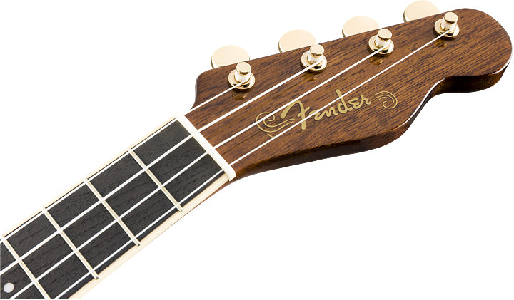 Fender Grace VanderWaal Moonlight Sign. Uke med inbyggt mik system och gigbag