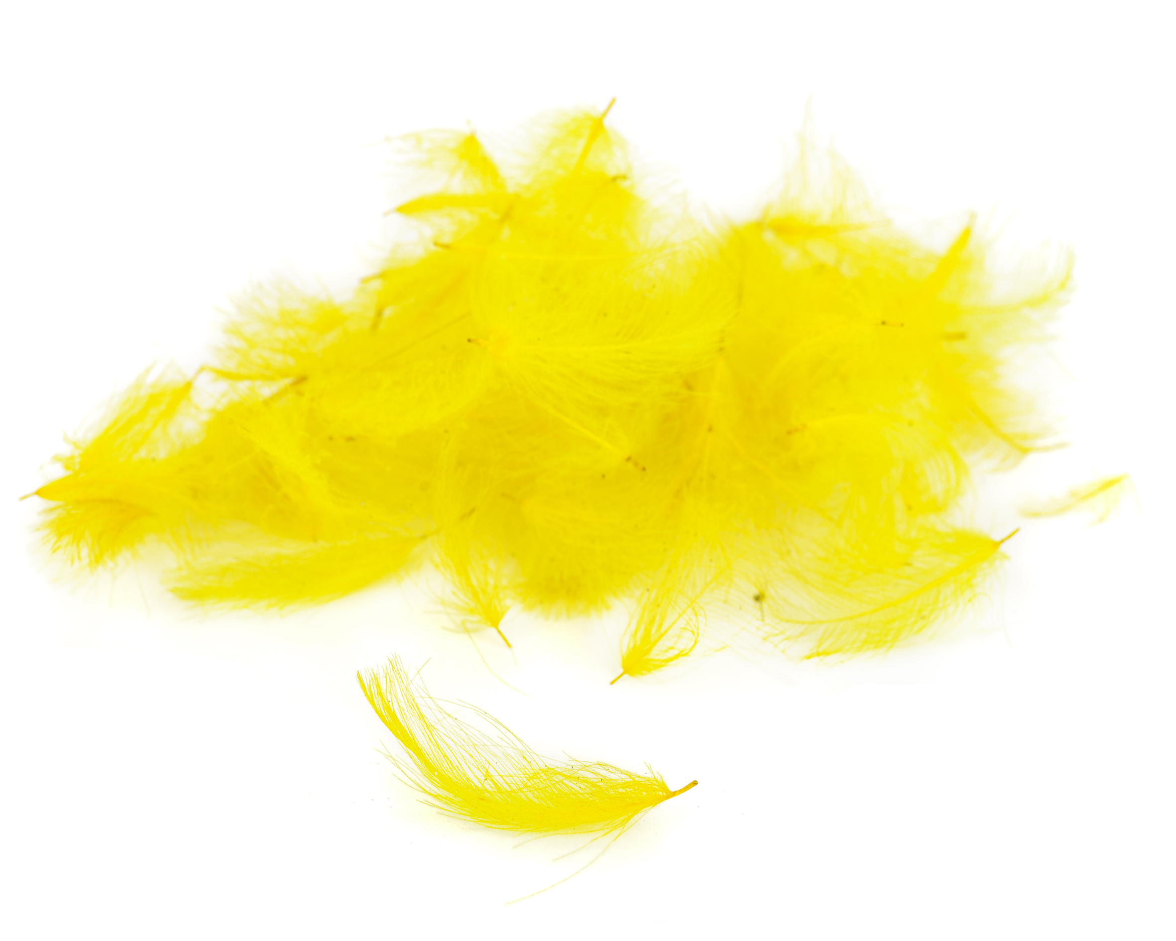 Premium CDC - Flydressing - 10