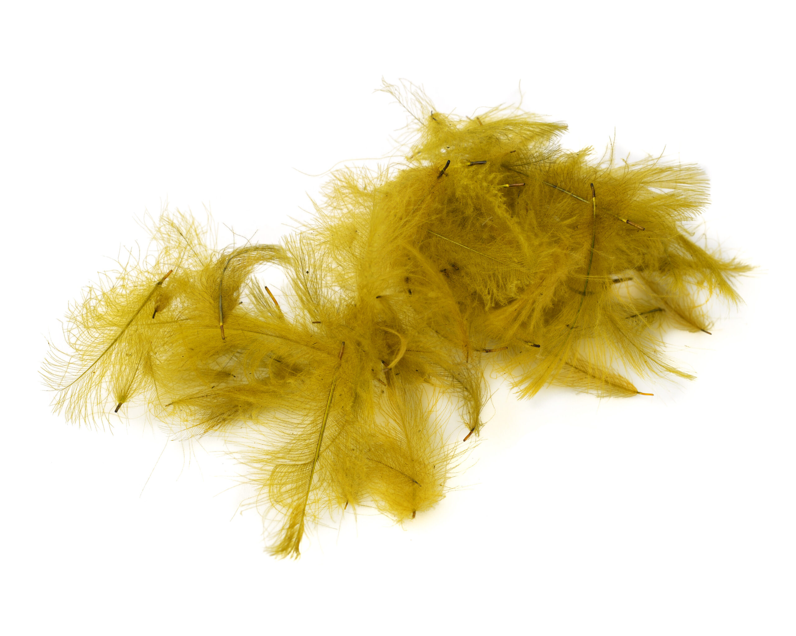 Premium CDC - Flydressing - 7