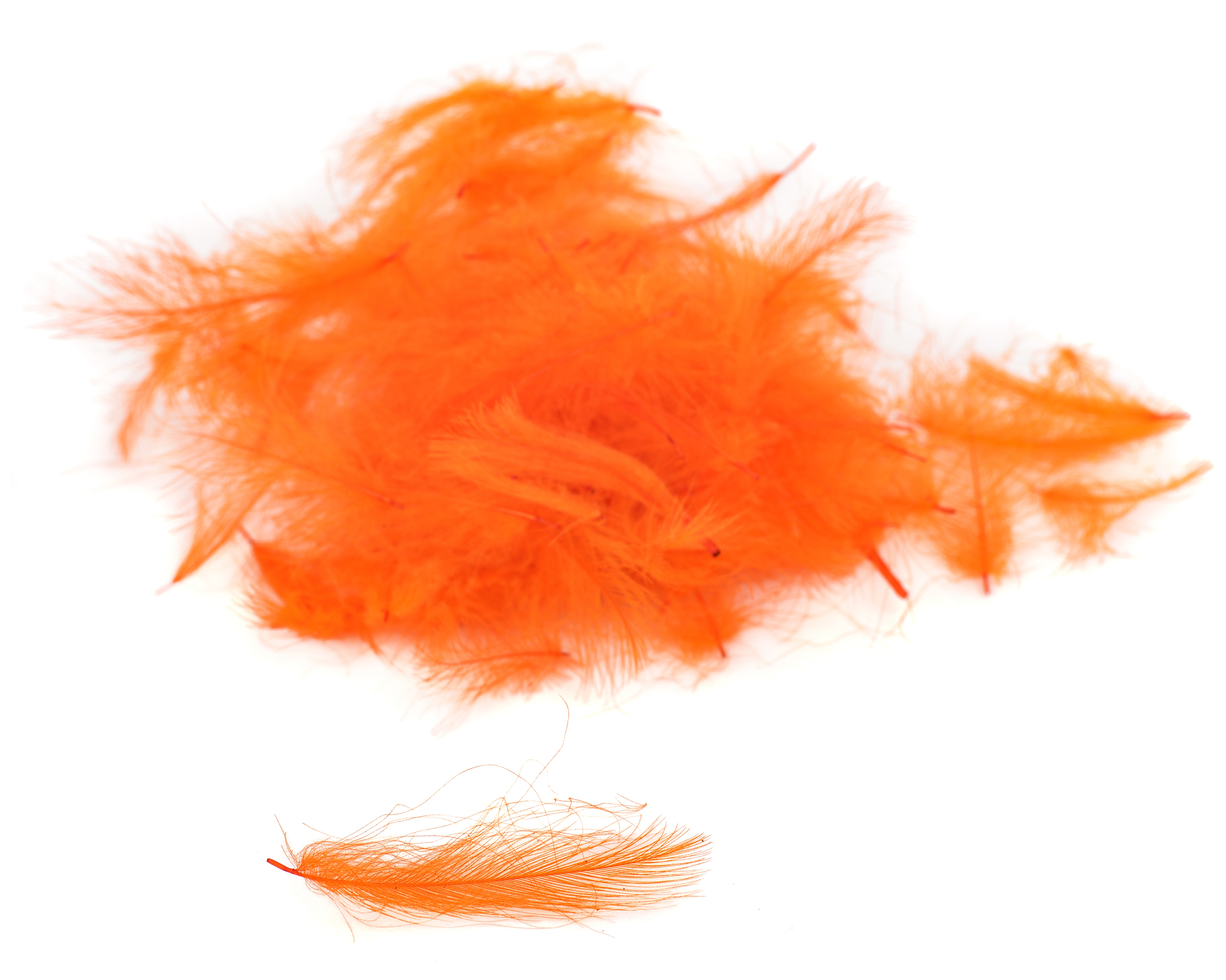 Premium CDC - Flydressing - 14