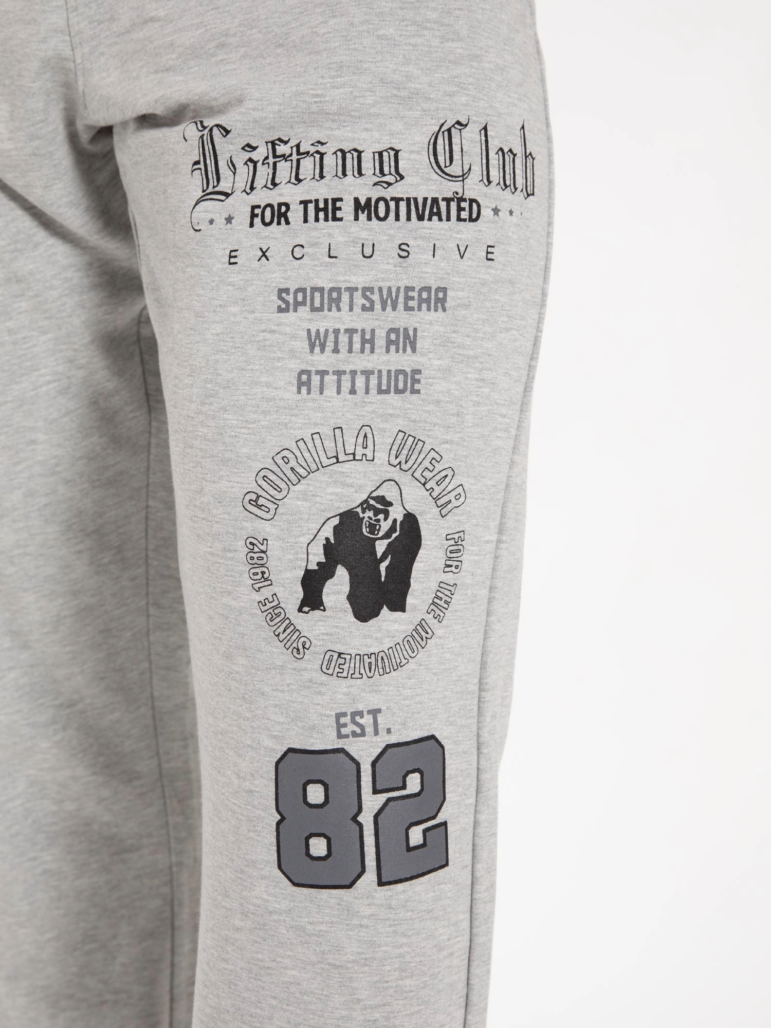 Colorado Sweatpants, grey - 8