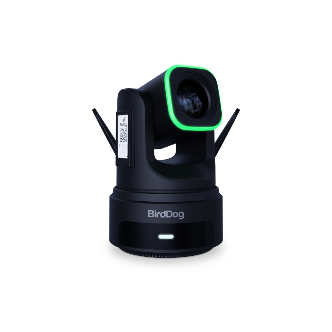 BirdDog X4 Ultra Black - 2