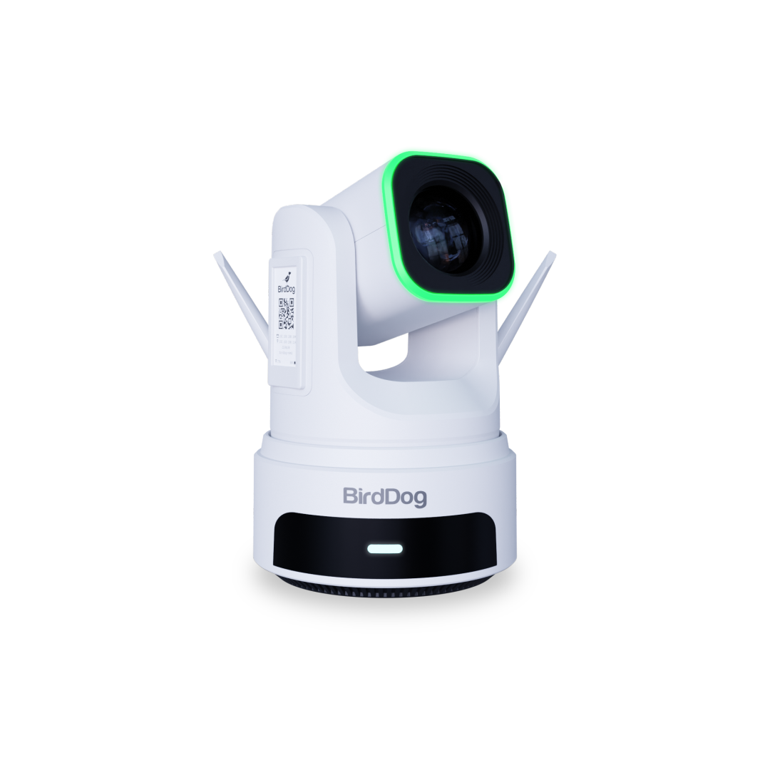 BirdDog X4 Ultra White - 2