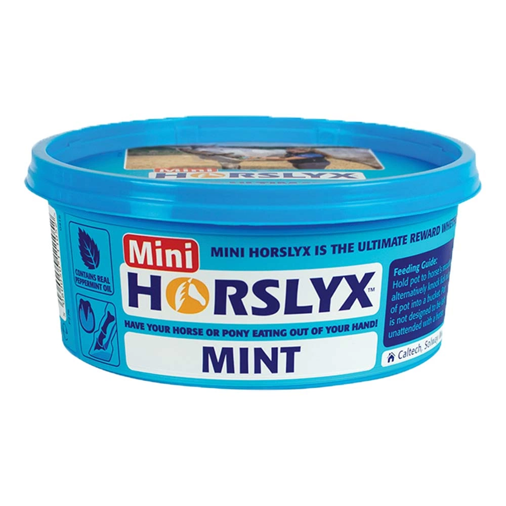 Horslyx - Mint Balancer 650g