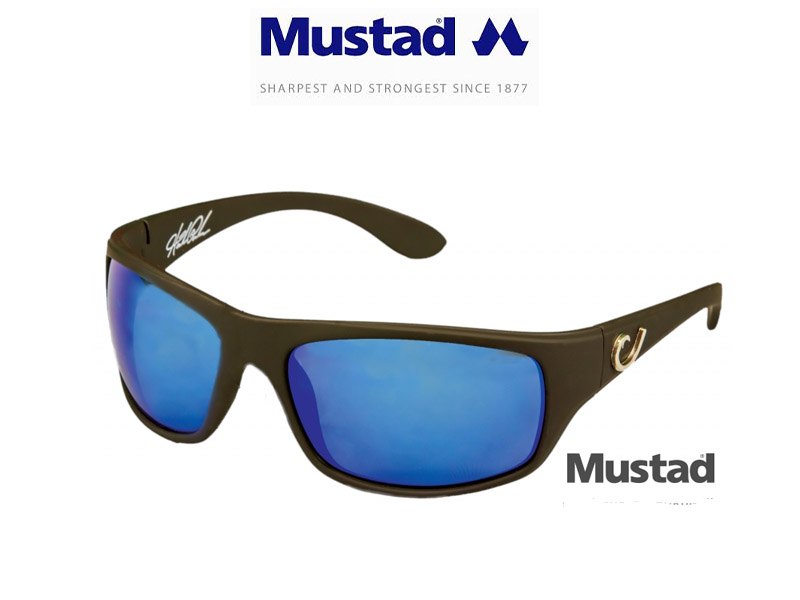 HP100A 1, Polarized Sunglasses Black Frame, Smoke lens with Blue Revo