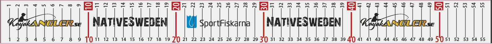 Mätdekal Abborre 55cm