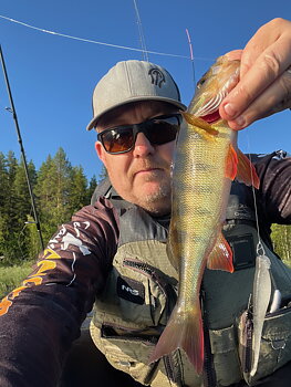 ZMAN SCENTED JERK SHADZ 5inch Sexy Penny 5 PACK