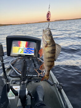IFISH The Barrel 8g, KRP