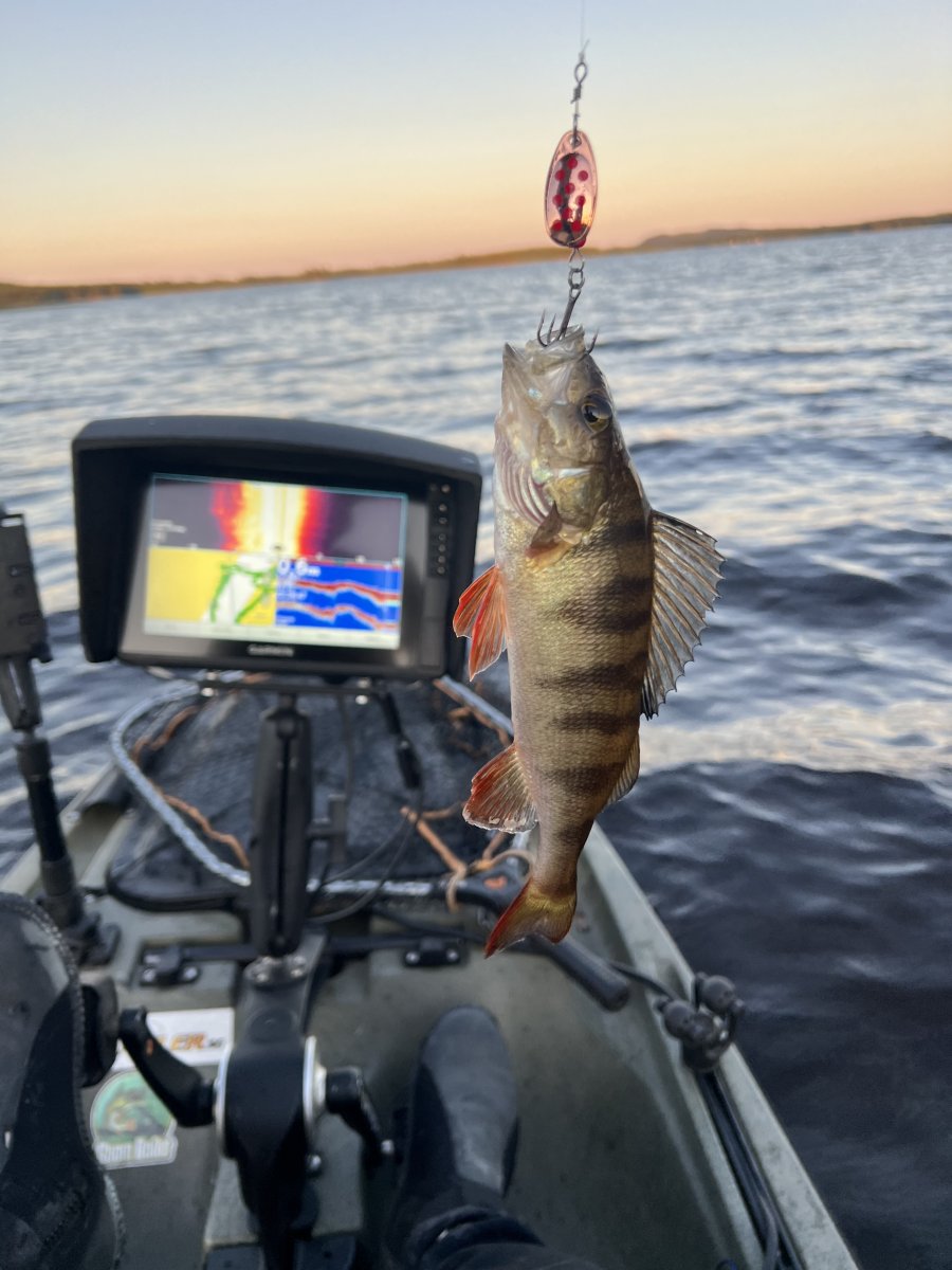 IFISH The Barrel 8g, ABBO - 2