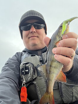 ZMAN SCENTED JERK SHADZ 4inch Sexy Mullet 5 PACK