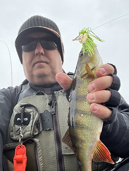 Z-Man Chatterbait Micro - 1/8 OZ / 3,5g - Chartreuse