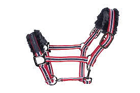 Grimma Cavallo