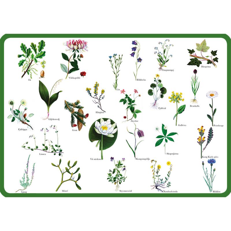 Underlägg Landskapsblommor