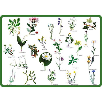 Underlägg Landskapsblommor