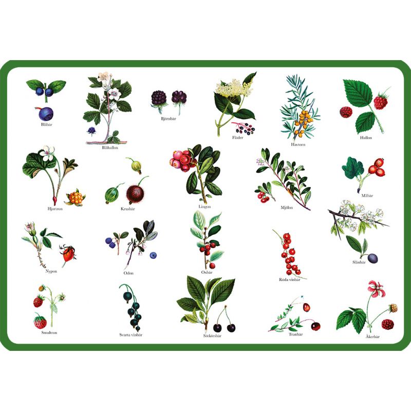 Berries table mat