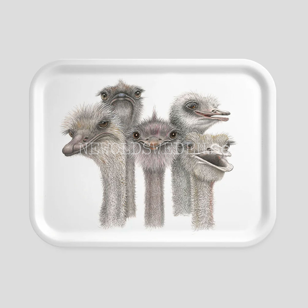 Tootsies Bricka 27x20 cm Charlotte Nicolin