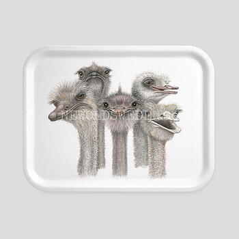 Tootsies Bricka 27x20 cm Charlotte Nicolin