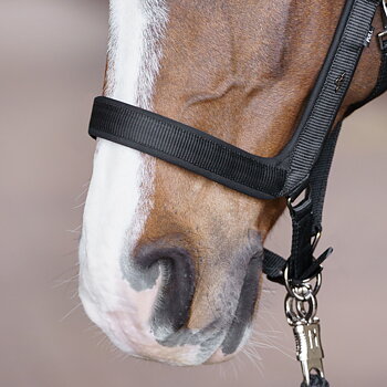 HV POLO   Grimma Essential Svart