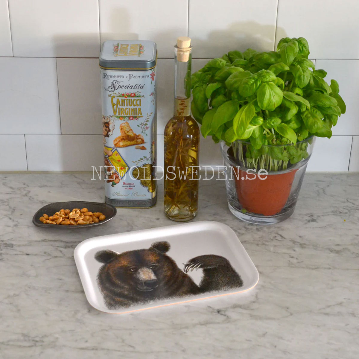 Bruno & Andy Bricka 27x20 cm Charlotte Nicolin - 2