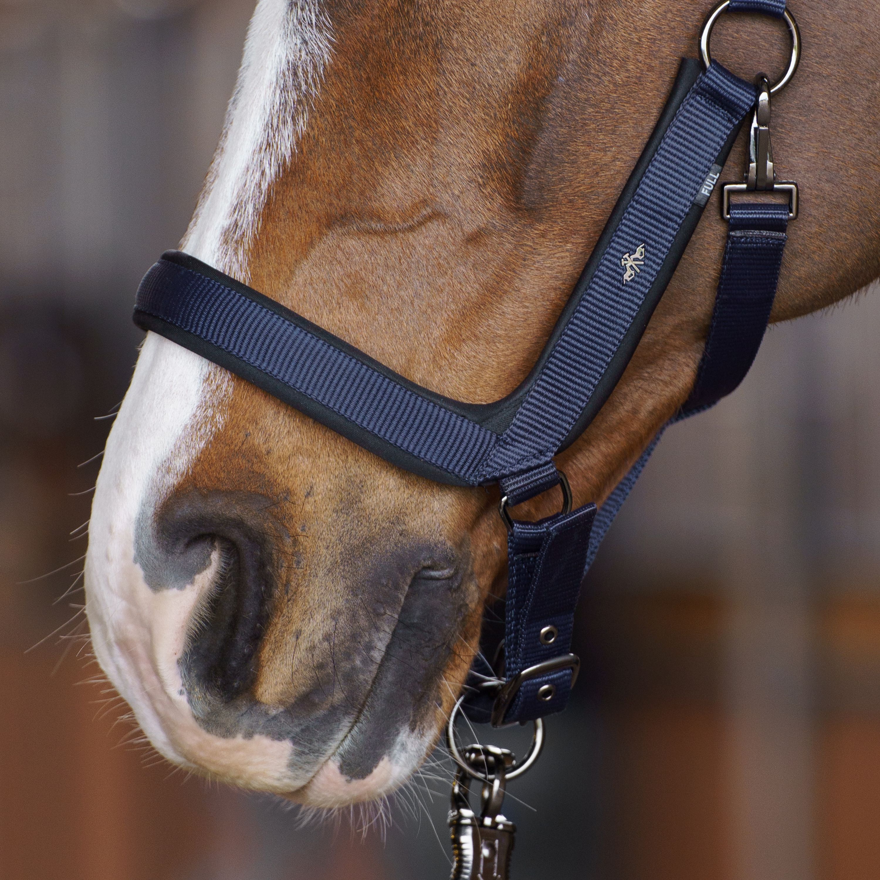 HV POLO   Grimma Essential Navy - 2