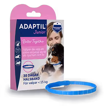Adaptil Junior Halsband