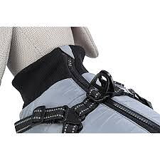 Trixie Pontis Täcke med Sele