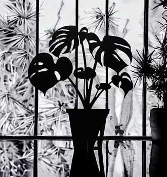 Monstera Deliciosa, Liten Svart- Älskaplåt 