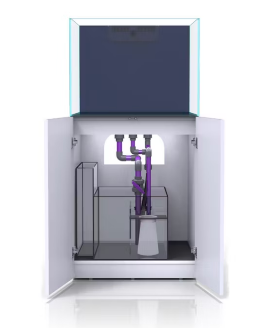 NYOS Opus G2 250 Pro-Line - 4