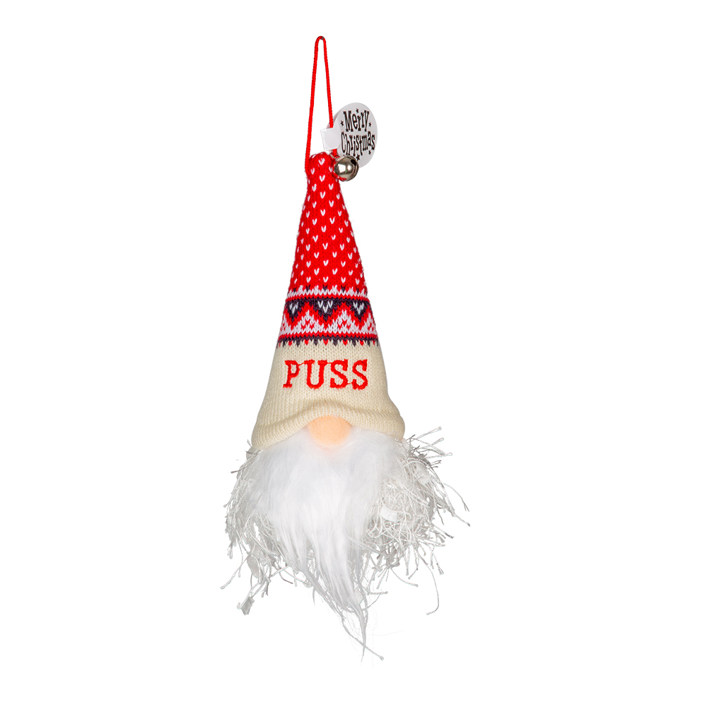 Tomtenisse med ledbelysning, Puss