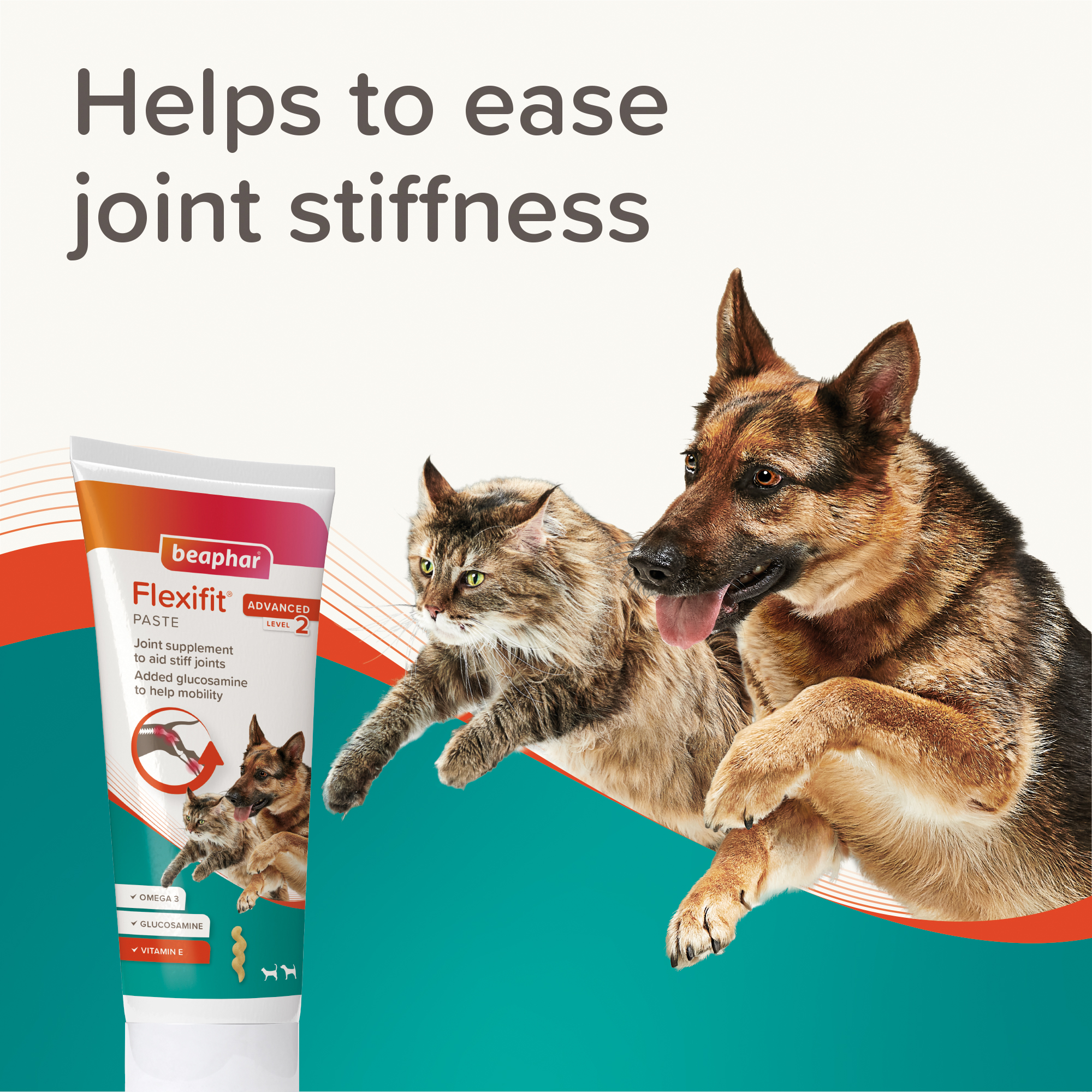 Beaphar Flexifit Pasta Hund & katt level 2, 175g - 4