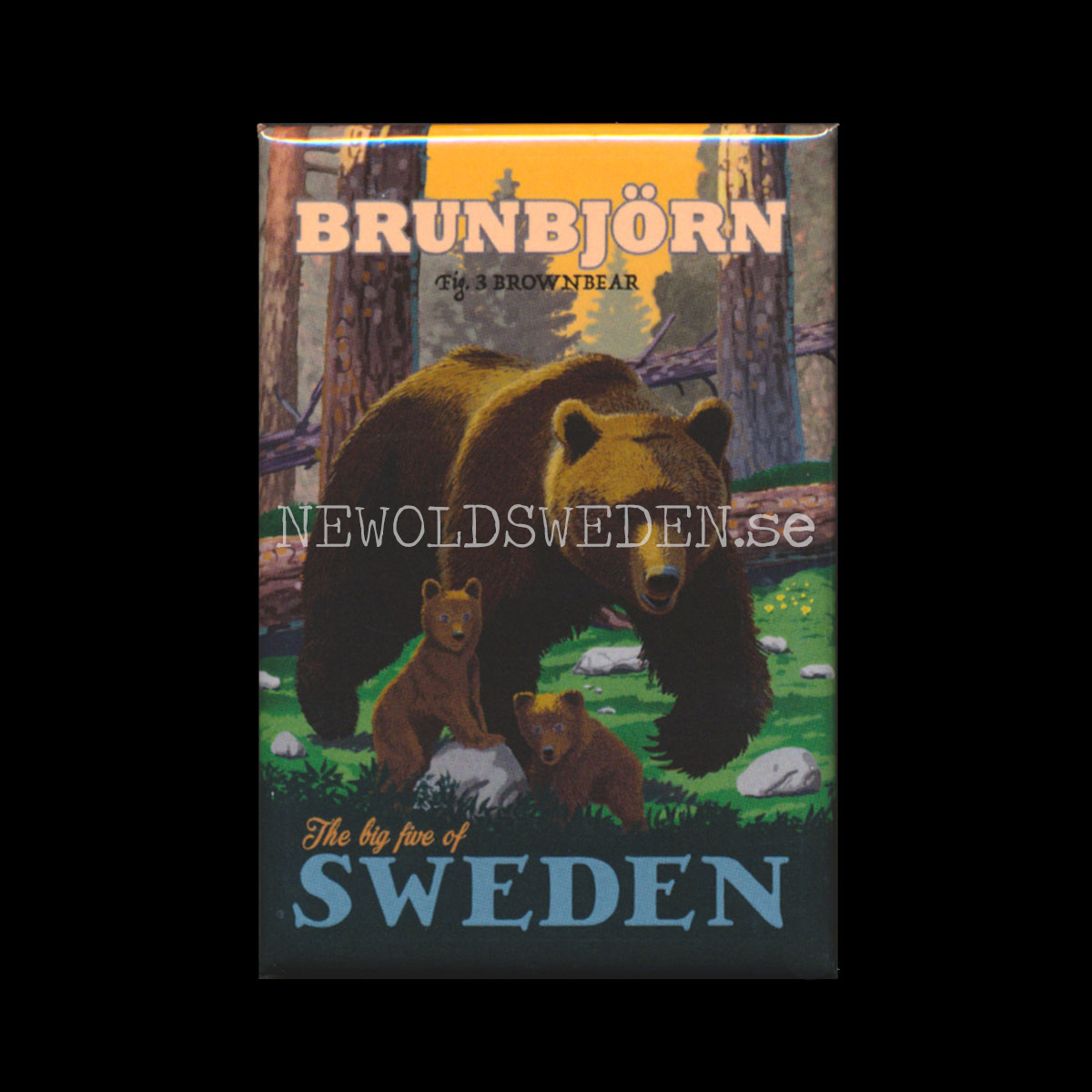 BRUNBJÖRN 3 AV 5 - Kylskåpsmagnet 7.9 x 5.3 cm ThomasO - KOGA