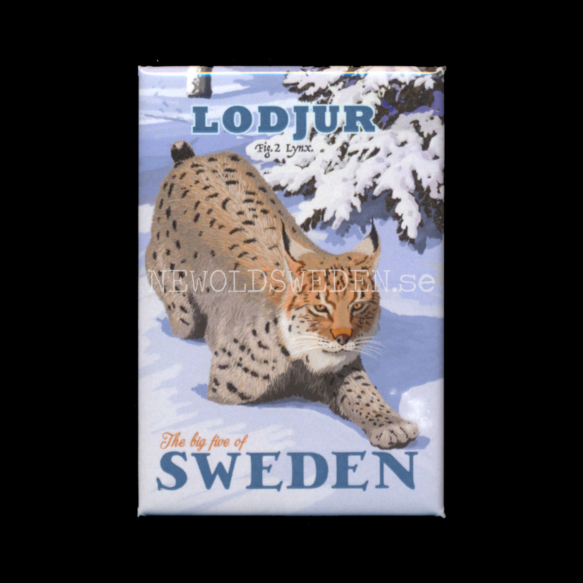 LODJUR 2 AV 5 - Kylskåpsmagnet 7.9 x 5.3 cm - Thomas Olsson