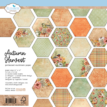 Autumn Harvest 12x12 Inch Patterned Cardstock Paper 