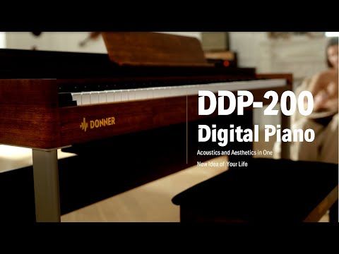 Donner DDP-200 - 7