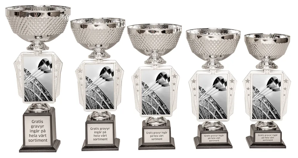 Pokal Action- Dart