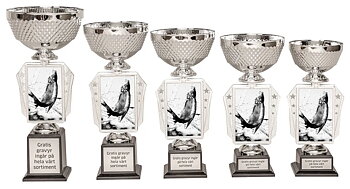 Pokal Action- Fiske