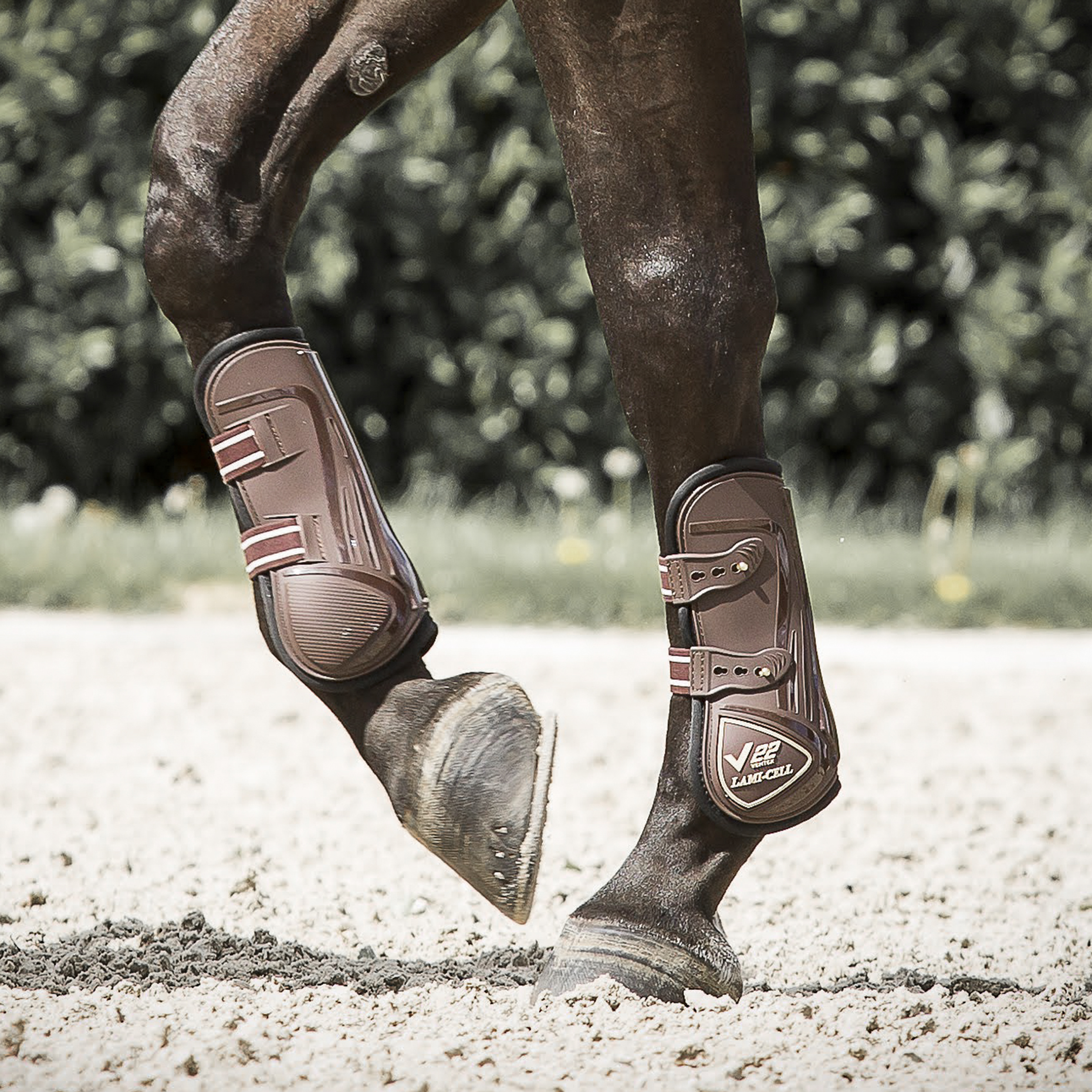 Lami-Cell Tendon Boots V22 Carbon - Brown - Highly ventilated