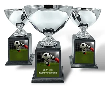 Pokal Deluxe- Fotboll Målvakt