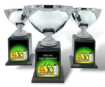 Pokal Deluxe- Fotboll träningspris