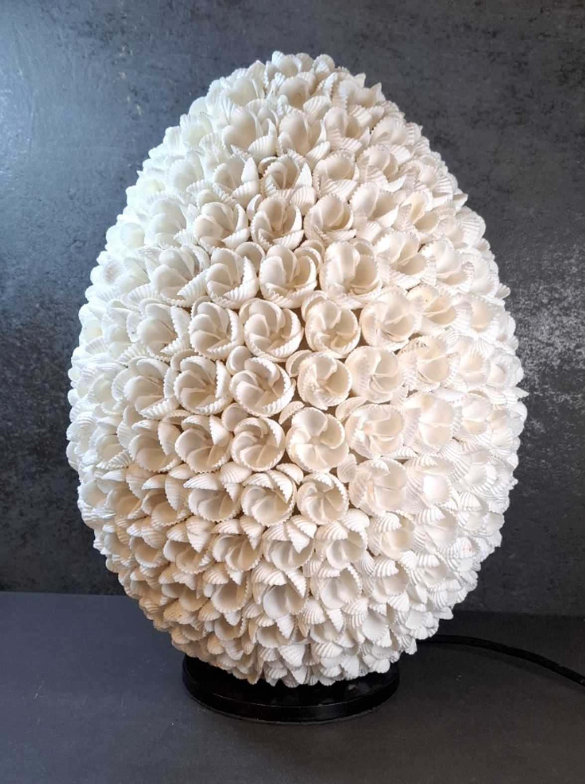 Ägg formad snäcklampa, Cockel Snäcka  - 36cm  - 2