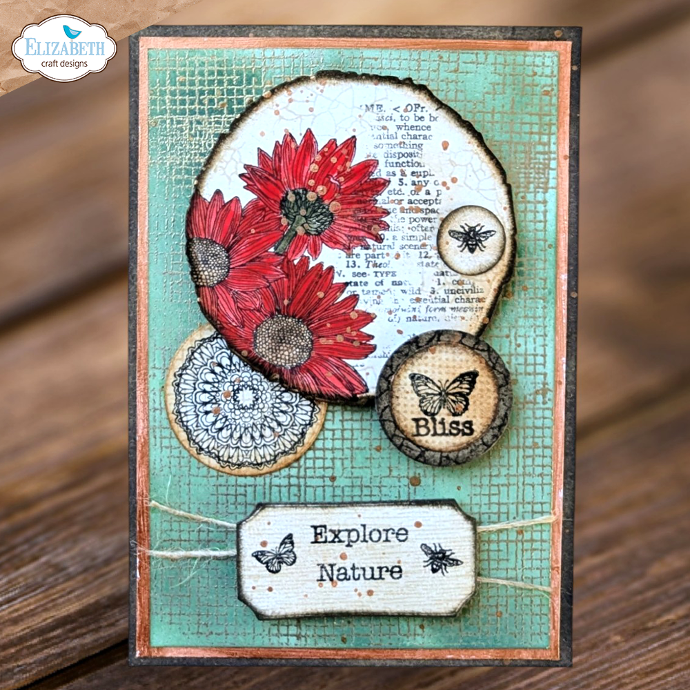 Elizabeth - Mushrooms & Tree Stumps - Dies - 3