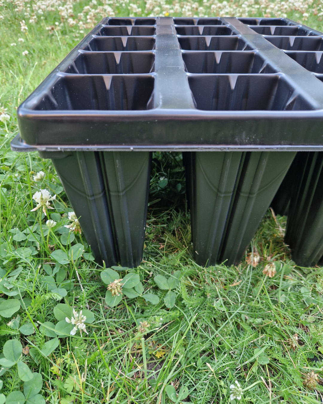 Plantbrätte - 15 celler - Quickpot