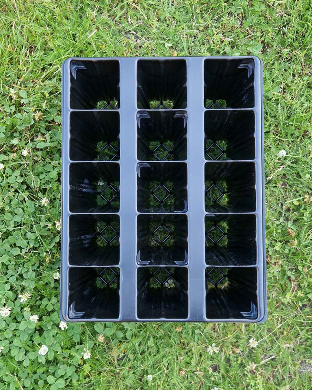 Plantbrätte - 15 celler - Quickpot