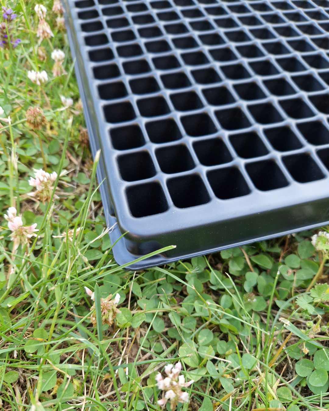 Pluggbrätte - 360 celler - Quickpot - Danish