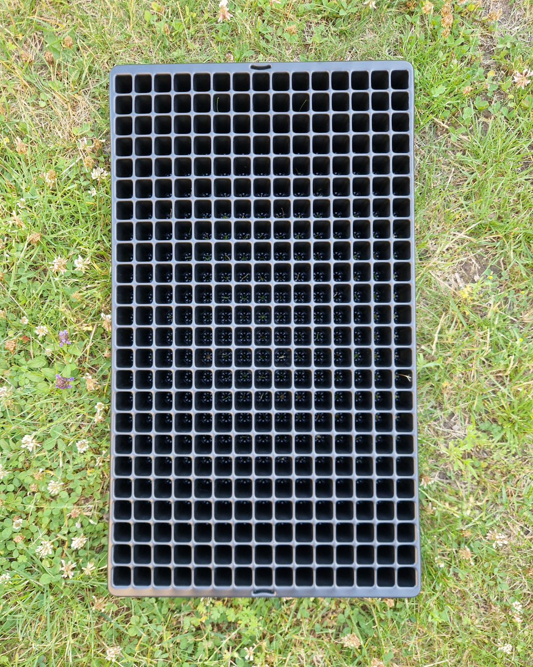 Pluggbrätte - 360 celler - Quickpot - Danish